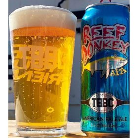 Tampa Bay Reef Donkey APA 16 fl. oz. can, 4 pk.