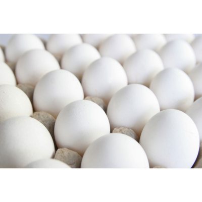 Midwest Farms Large Grade A White Eggs (90 ct.) - Sam's Club