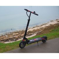Plug City Electric Scooter 