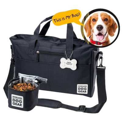 sam's club travel bags