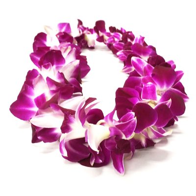 Fresh Hawaiian Orchid Flower Lei, Single Strand From Hawaii