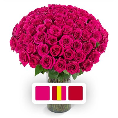 Member's Mark 40cm Rose Bouquet + Vase, 100 Stems (Hot Pink)