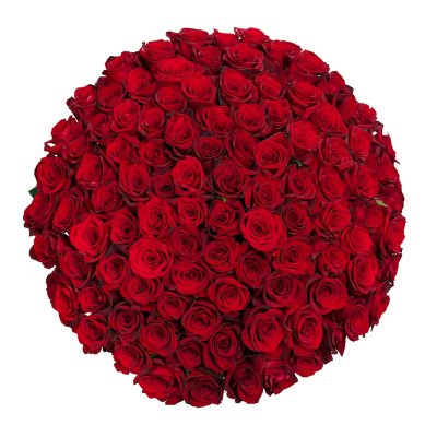 Member's Mark 60cm Ecuadorian Premium Roses (Choose Color Variety ...