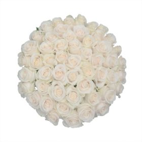 Red Glitter Roses - Farm Fresh Delivery