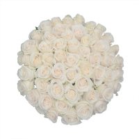 Premium Roses (Choose from 21 varieties; 50, 100, 150 stems)
