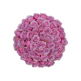 Member's Mark Ecuadorian Premium Roses (Choose color variety and stem count)