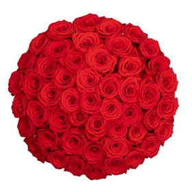 Member's Mark Ecuadorian Premium Roses, choose color variety and stem count