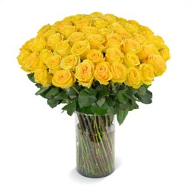 Member's Mark Rose Bouquet and Vase, 100 stems (Choose color variety)