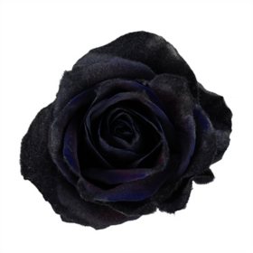Member's Mark Farm Fresh Velvet Roses, choose color and stem count