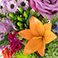 Classic, variant on Member's Mark Mother's Day Farm Fresh Bouquet, choose color and stem count