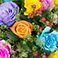 Colour Pop Summer, variant on Member's Mark Farm Fresh Rose Bouquet, 28 stems, choose color
