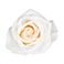 White, variant on Member's Mark Roses, choose color and stem count