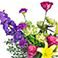 Wildwood, variant on Member's Mark Artisan Garden Bouquet, 22 stems, choose color