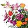 Garden Radiance, variant on Member's Mark Artisan Garden Bouquet, 22 stems, choose color