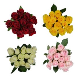 Member's Mark Premium Dozen Roses, Assorted Colors, 12 stems