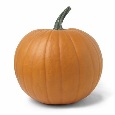 Medium Pumpkin - 1 ct. - Sam's Club