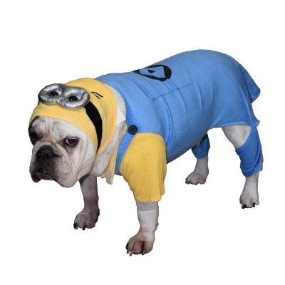 Minion Pet Costume