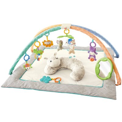 Fisher Price 2 in 1 Flip & Fun Activity Mat + Puppy Pillow Play Mat