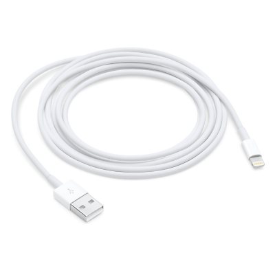 Apple Lightning to USB Cable (2 m) - Sam's Club