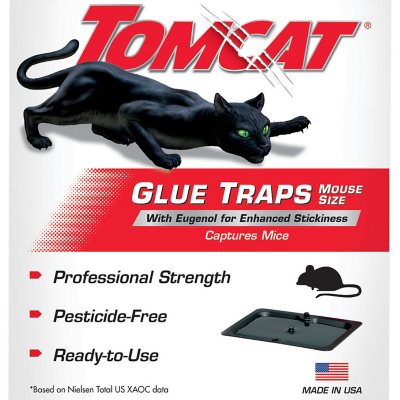 Mouse glue pad