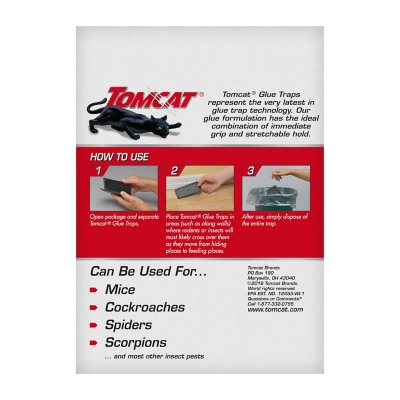 TOMCAT Mouse Size Glue Traps (4-Pack) - Anderson Lumber