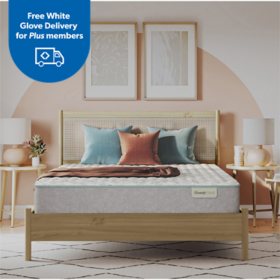 BeautySleep Slumberscape 12.5" Firm Mattress Set