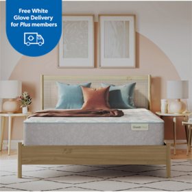 BeautySleep Slumberscape 13.75" Plush Mattress Set