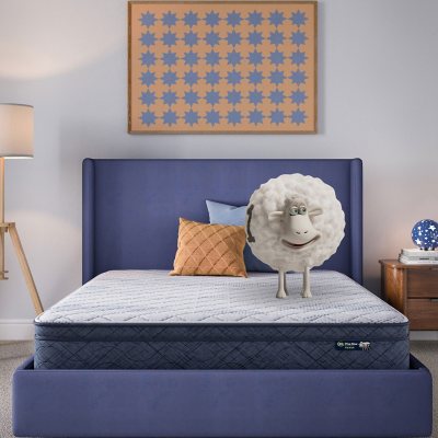 Five Star Mattress Sleepscape 10' Plush Pillow Top:- King, Plush PT