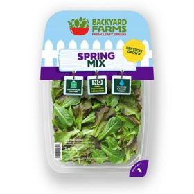 Backyard Farms Spring Mix Lettuce, 12 oz.