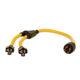 Champion 3ft Generator Cord, L14-30P to 2 5-20R