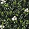 Bloom, variant on Select Surfaces Artificial Hedge Panels, 2-Pack, Choose Type