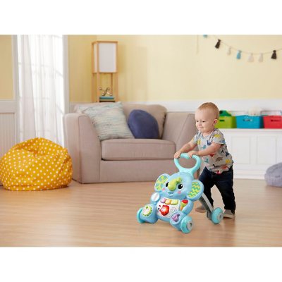  Vtech 505603 Baby Walker, Multi-Coloured : Toys & Games