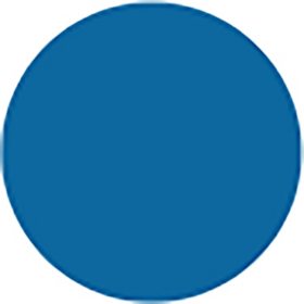 Adult Transitions, Assorted Colors