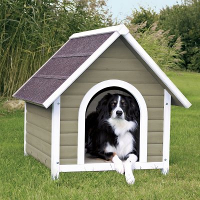 sam's club dog house