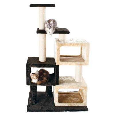 cat tree sams club