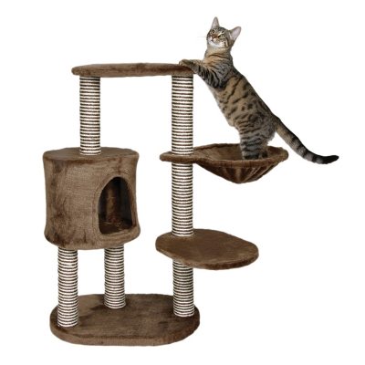 Cat Trees \u0026 Toys - Sam's Club