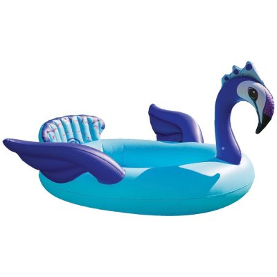 sam's club pool toys