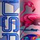 Miami, variant on Atelier Sportif FIFA World Cup 2026 Performance Insulated Water Bottle, 2-Pack