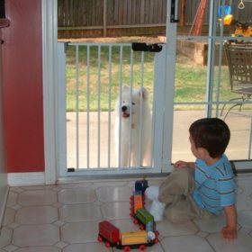 Cardinal Gates Lock N Block Sliding Glass Door Gate Sam S Club