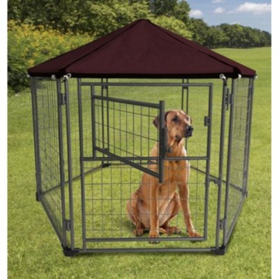 My pet companion 2025 portable pet kennel