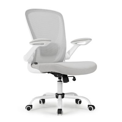 Onyx Ergonomic Office Chair:- White
