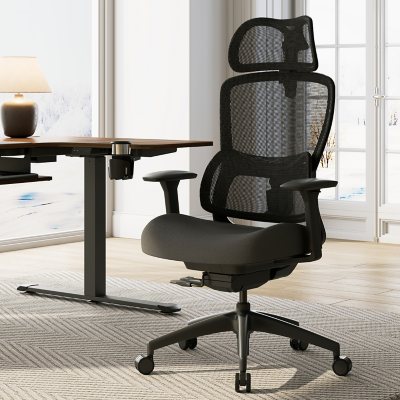 Eureka Ergonomic Adjustable Lumbar Ergonomic Office Chair