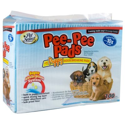 Pet Select Pee-Pee Training Pads, 22' x 23