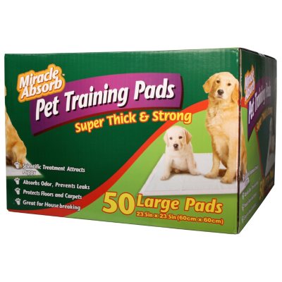 Sam's club 2025 puppy training pads