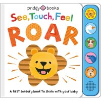 See, Touch, Feel: Roar: A First Sensory Book