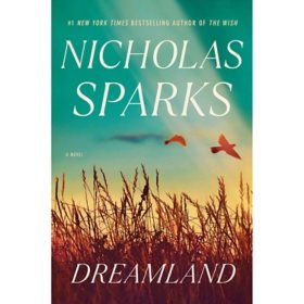 Dreamland : A Novel