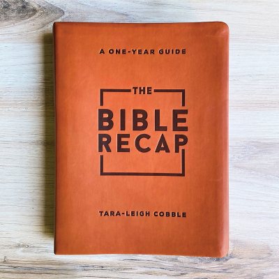 The Bible Recap, Imitation Leather