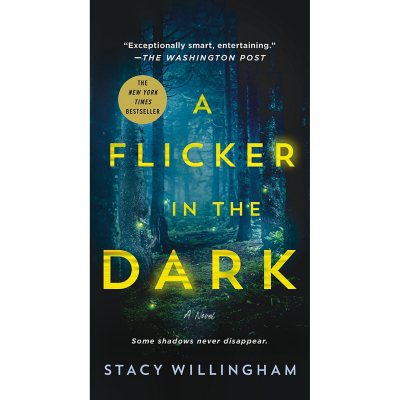 A Flicker in the Dark by Stacy Willingham 