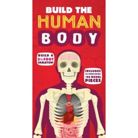 Build the Human Body 