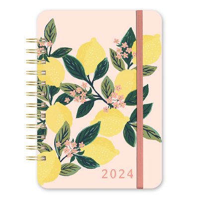 2024 Lemon Tree Do It All Planner - Sam's Club